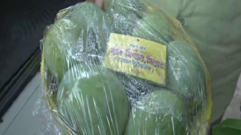 Nitish govt distributes mangoes to MLAs, faces flak from RJD