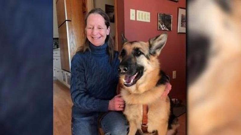 Sue Martin and her guide dog Quan were asked to leave by an American Airlines employee who said her presence on the plane â€œwas not safeâ€. (Photo: Twitter)