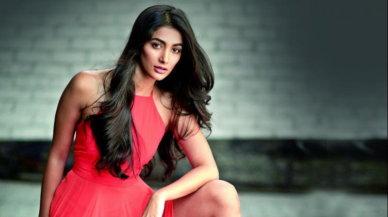 Pooja Hegdeâ€™s manager irked by misleading rumours