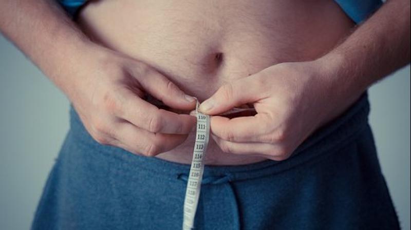 Lets bust some obesity myths! (Photo: Pixabay)