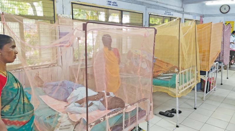 Dengue cases on rise in Tamil Nadu
