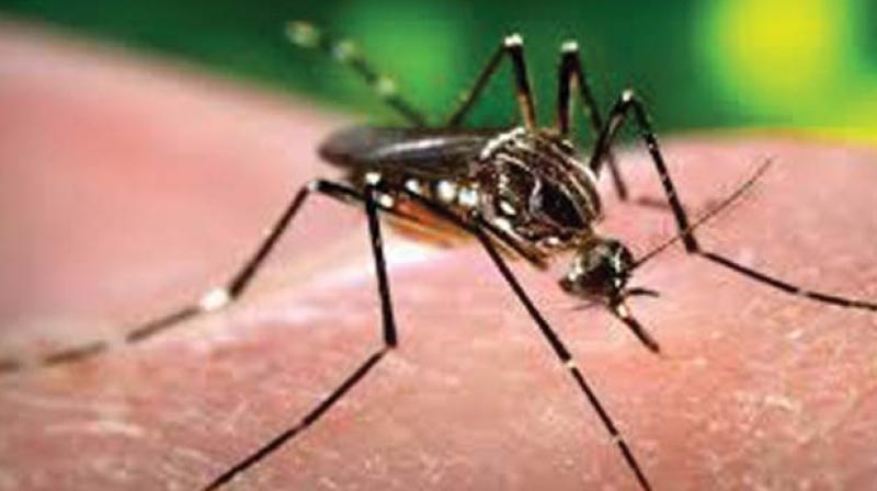 The natural course of dengue is divided into three phases. First phase is called febrile phase, which lasts for 2-7 days and patients suffer from fever, headache, body ache, joint pain and flushing skin.