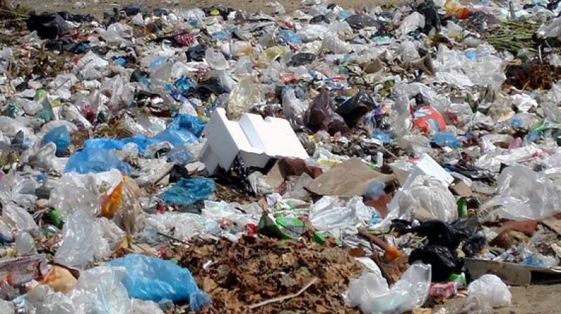 Goa Tourism Corporation bans plastic