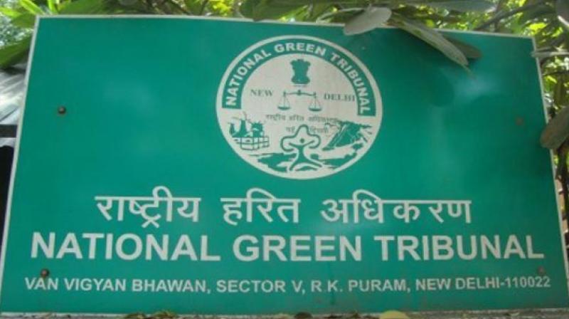 Alleging long-term damage to the Krishna river floodplains, on which much of the capital city is proposed to be built, several people had approached the National Green Tribunal (NGT). (Photo: PTI/File)