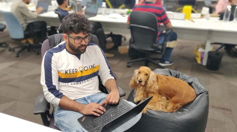 In office with pets! Ola celebrates Dog Day