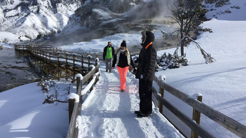 Yellowstone National Park tourists boost local economy