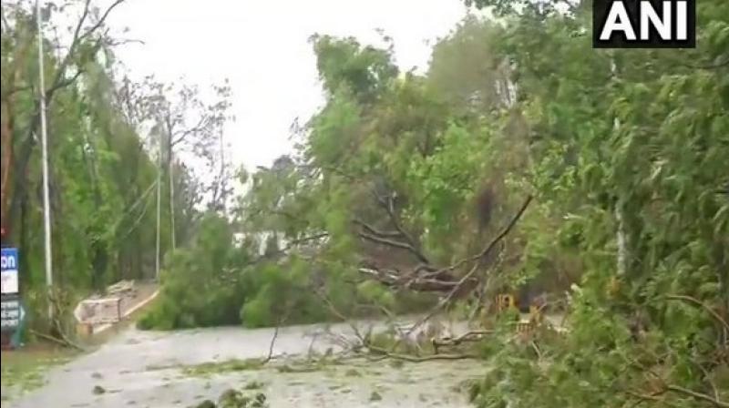 Cyclone Fani caused Rs 24,176 crore damage in Odisha: Report