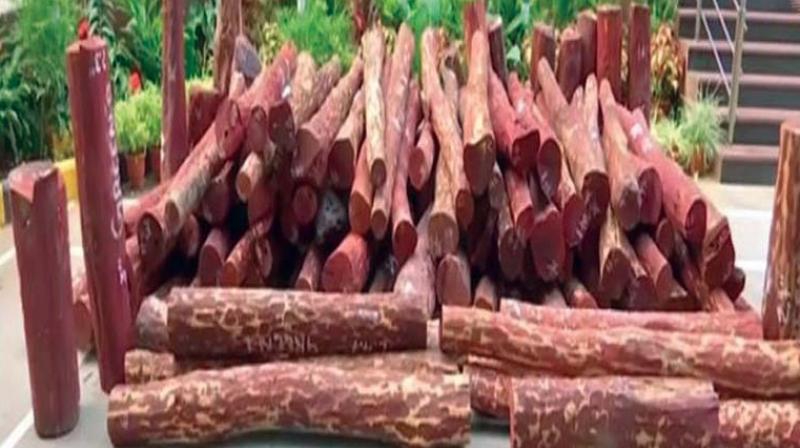 Bengaluru: 4,000 kg of sandalwood seized, 13 smugglers held