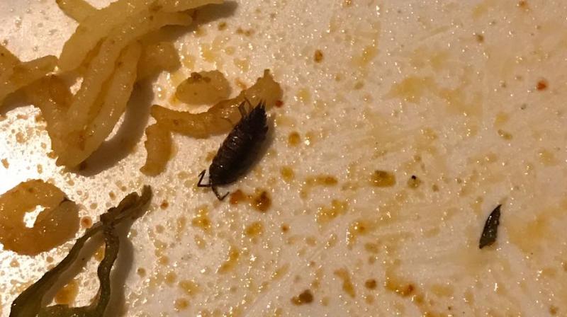 The diner submitted pictures and video recordings of insects in the food item as evidence. (Photo: DC)