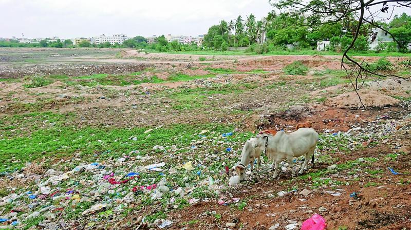 Hyderabad: Dewatered lakebeds reveal plastic pollution