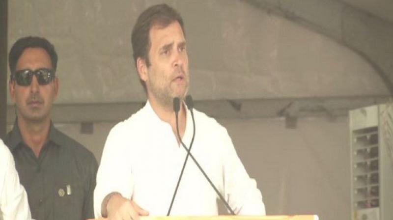 Dont know what he had in dinner at around 8 pm that he took such decision which destroyed the backbone of our economy, Rahul Gandhi said. (Photo: F)