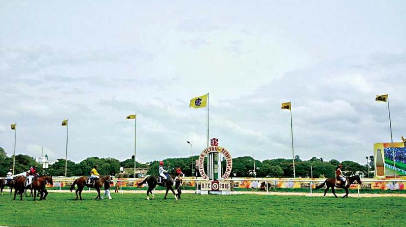 The laboratory, in the case of Queen Latifa and other horses in Madras Race Club, released results without referring to the international threshold limit for administering procaine.