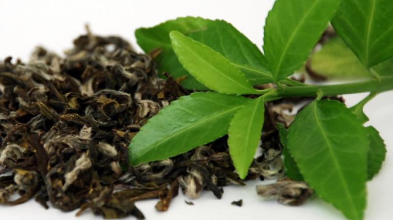 Tea exports to Pakistan rising