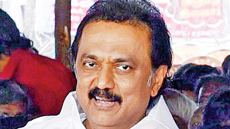 DMK is crouching only to pounce: MK Stalin