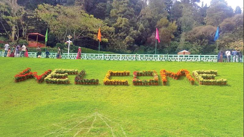 Dazzling display of flowers on cards in Ooty from May 17