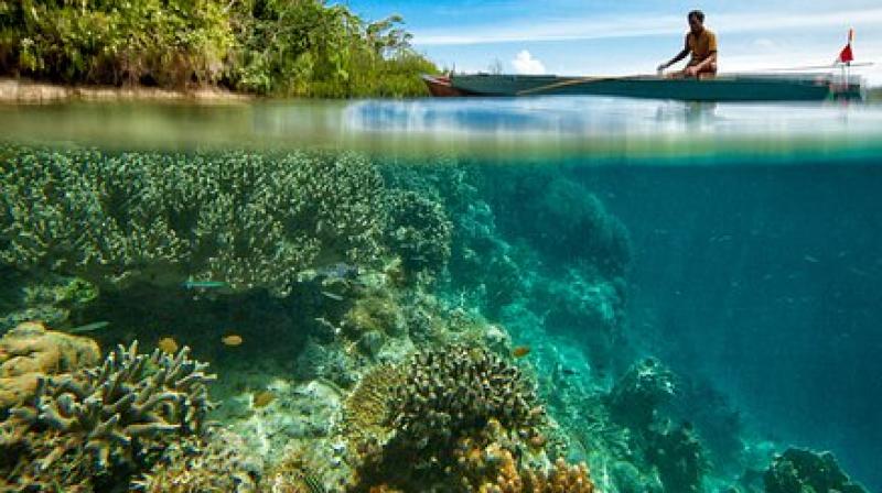 Guam saved from the immediate effect of coral bleaching