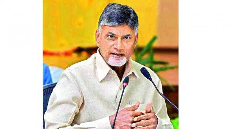 Chandrababu Naiduâ€™s kin witness poll frenzy