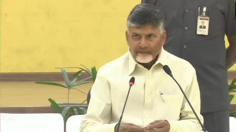 We will win, not even 0.1 per cent doubt about it: N Chandrababu Naidu