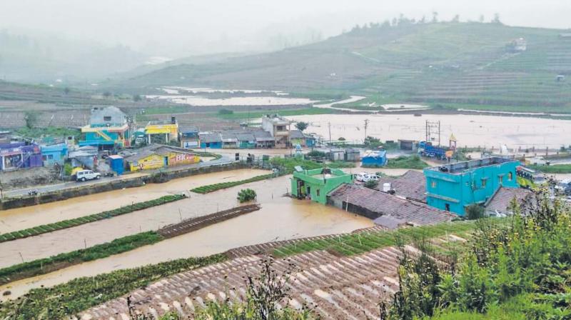 Ooty: Rains begin to play havoc with roads, crops and power supply