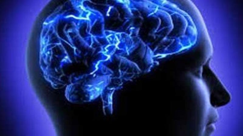 GBM is the most aggressive cancer that begins within the brain. (Representational Image)
