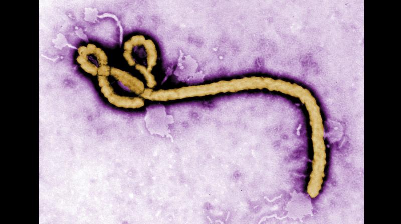 The World Health Organization is planning to try out an experimental Ebola vaccine to fight the outbreak of the virus. (Photo: AP)