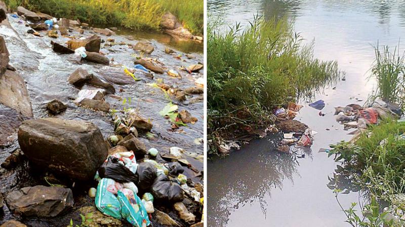 Garbage dumped into the Cauvery in Kodagu. (Right) Sewage flows into the river. (Photo: DC)