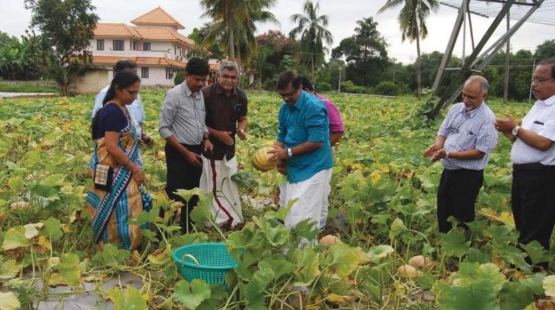 Kozhikode: Organic farm products in high demand