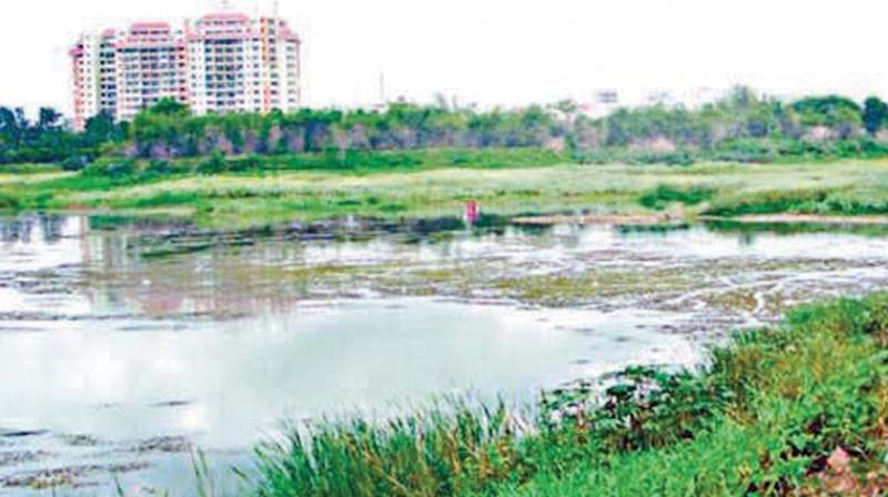 Chennai: Spl wing to protect water bodies, remove encroachments
