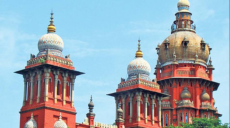 How much more blood to paint road with: Madras high court