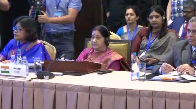 Pulwama, Lanka attacks made India determined to fight terrorism: Swaraj tells SCO