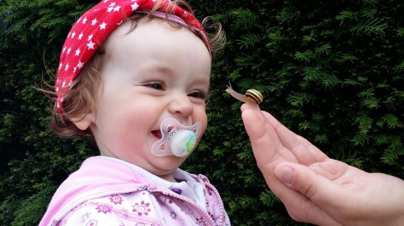 Sucking on your babys pacifier may protect them from allergies