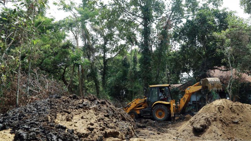 Kochi: 200-year grove being undone