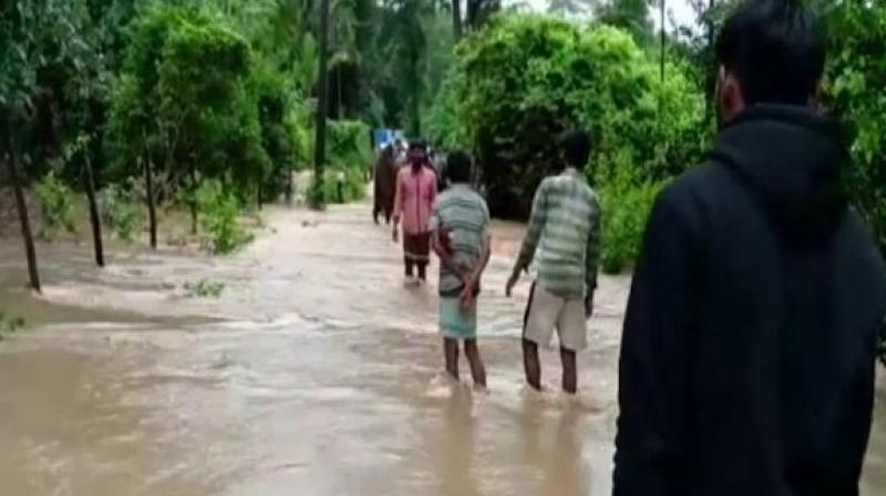 Karnataka: Heavy rain damages paddy fields, areca plantations in Shivamogga