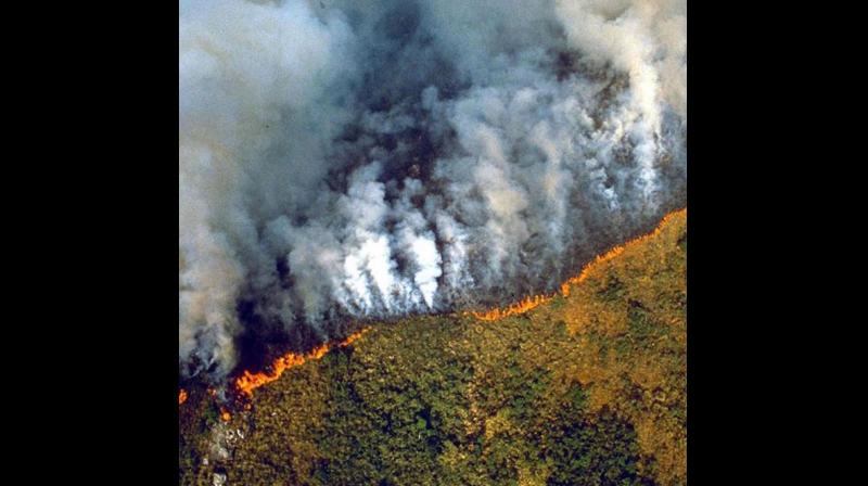 Five things we must know about the burning Amazon rainforest