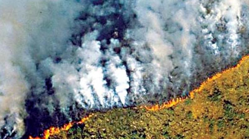 After global outcry, Brazil sends Army to put out Amazon rainforest fires