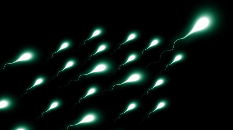 Experts say infertility treatment has left sperm science behind. (Photo: Pixabay)