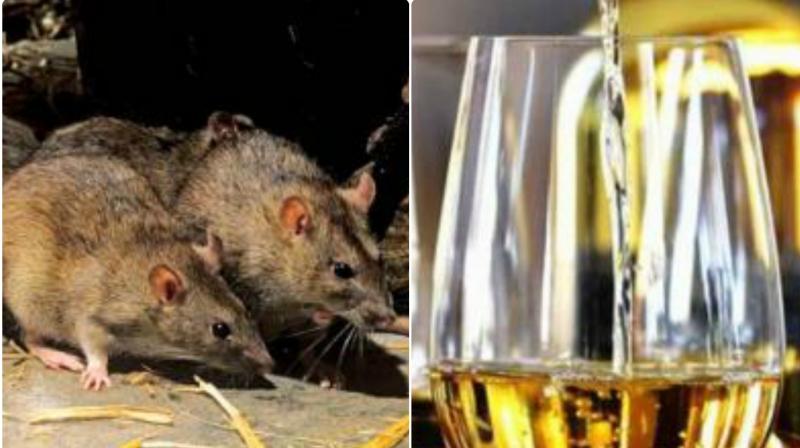 While a major portion of the seized liquor got destroyed on way to police stations, an equally large amount was consumed by rodents in the store of the police stations. (Photo: File)