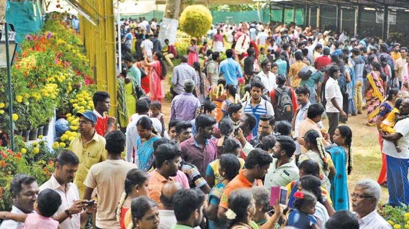 Thousands throng Yercaud summer festival on last day