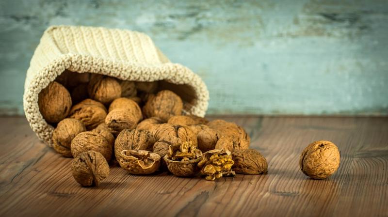Bioactive components of walnuts may be contributing factors in providing health benefits to body (Photo: Pixabay)