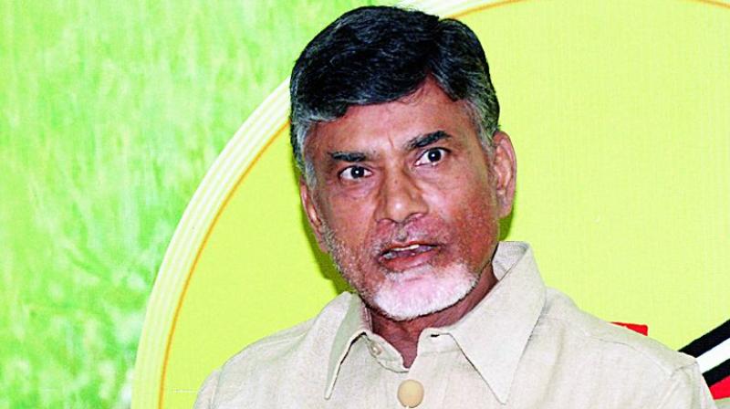 Chief Minister N. Chandrababu Naidu reiterated that the drought-hit Rayalaseema region would soon turn as a rich horticulture hub after the completion of HNSS project and diversion of Krishna river from Srisailam.