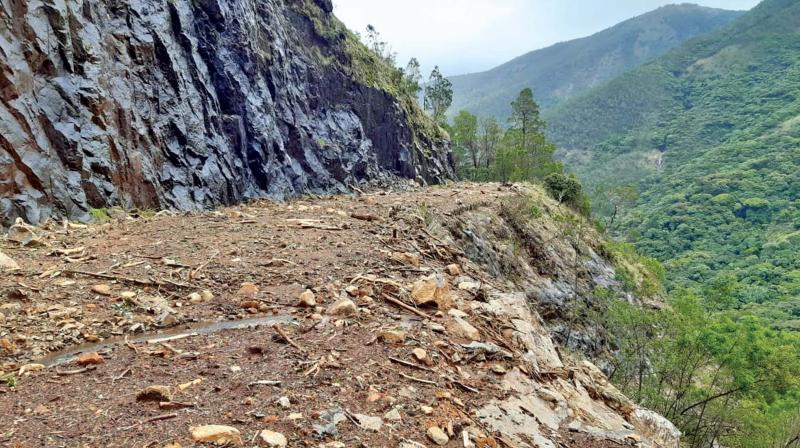 Ooty: Avalanche road restored, picnics set to pick up