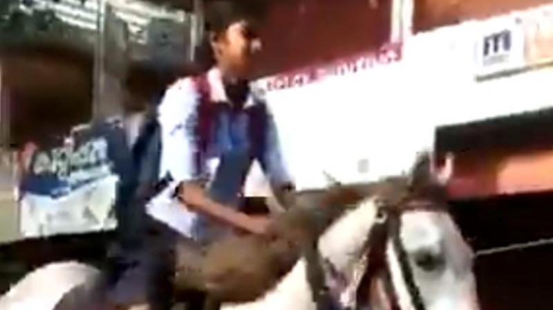 Kerala girl rides horse to school for \special\ reason; video goes viral