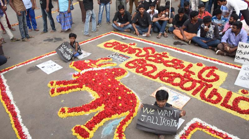Youngsters stage a protest condemning the ban on Jallikattu at Tamukkam in Madurai. (Photo: PTI)