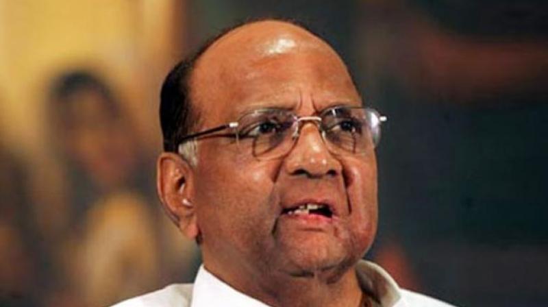 Sharad Pawar for Congress-NCP-MNS alliance