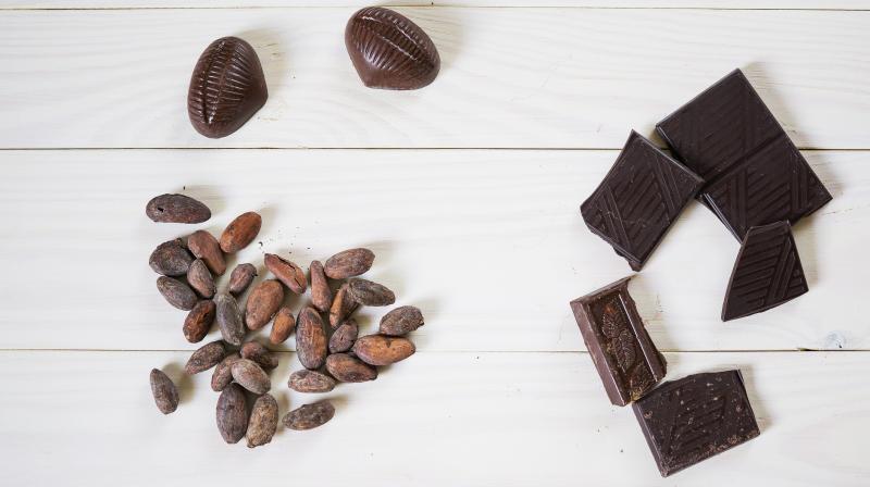 Organic and environmental friendly chocolates