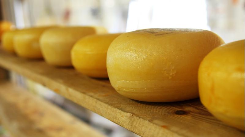 Music impacts the flavours of cheese: study
