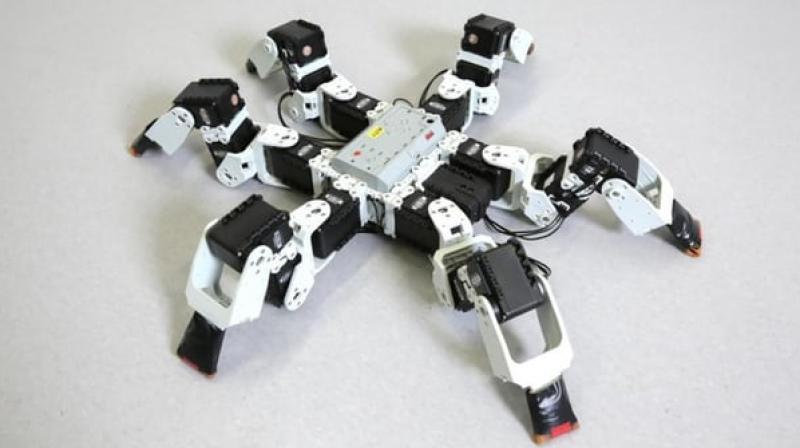 The robot that was used in the study(Credit: EPFL/Alain Herz)