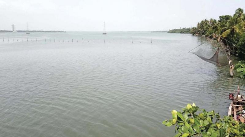 Remedy for pollution of Kochi backwaters