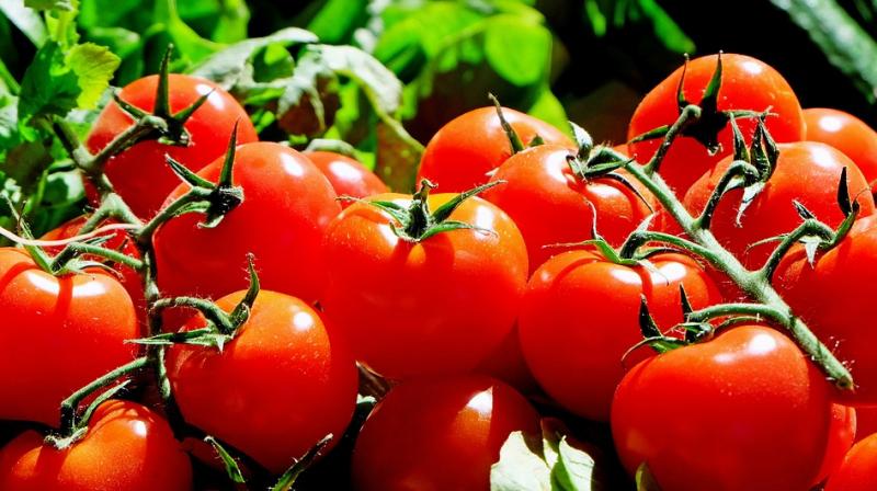 Boost sperm quality by adding tomatoes to your diet