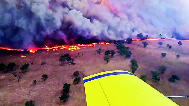 A screen-grab shows a bushfire in New South Wales.